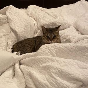 Meet your Posher, Paula